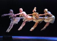 Санкт-Петербургский мужской балет Валерия Михайловского  Санкт-Петербург