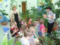 Детский сад № 35  Новосибирск
