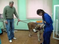 Ветеринарная клиника  Казань