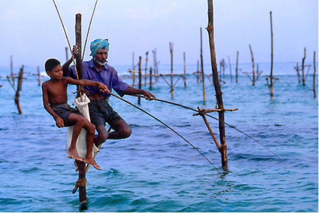 рыбалка на Шри-Ланке